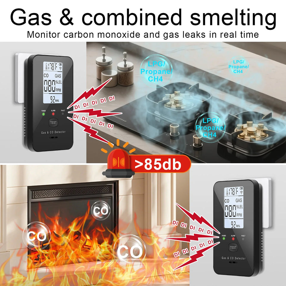 Steadfast Haven Co Detector