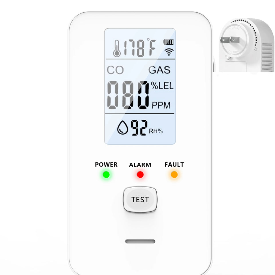 Steadfast Haven Co Detector