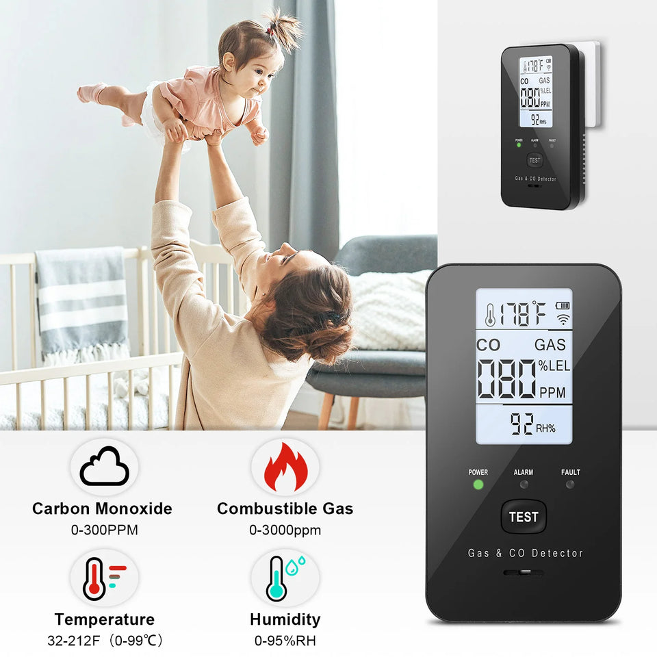 Steadfast Haven Co Detector